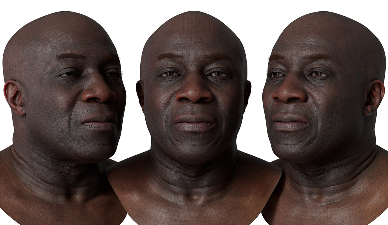 head model wireframe mesh